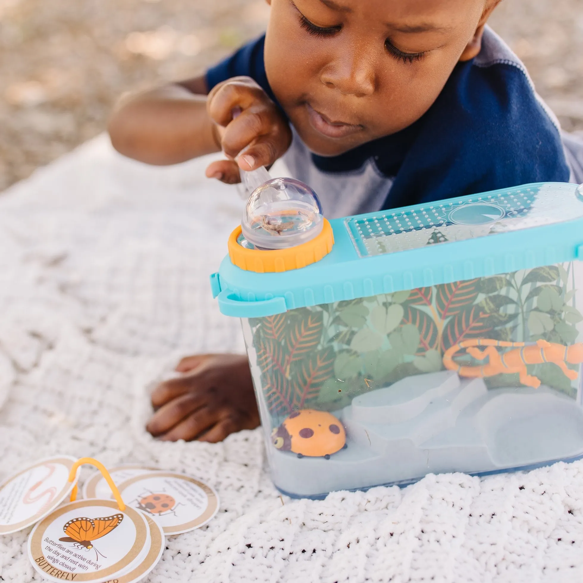 Let’s Explore Terrarium Observations Play Set