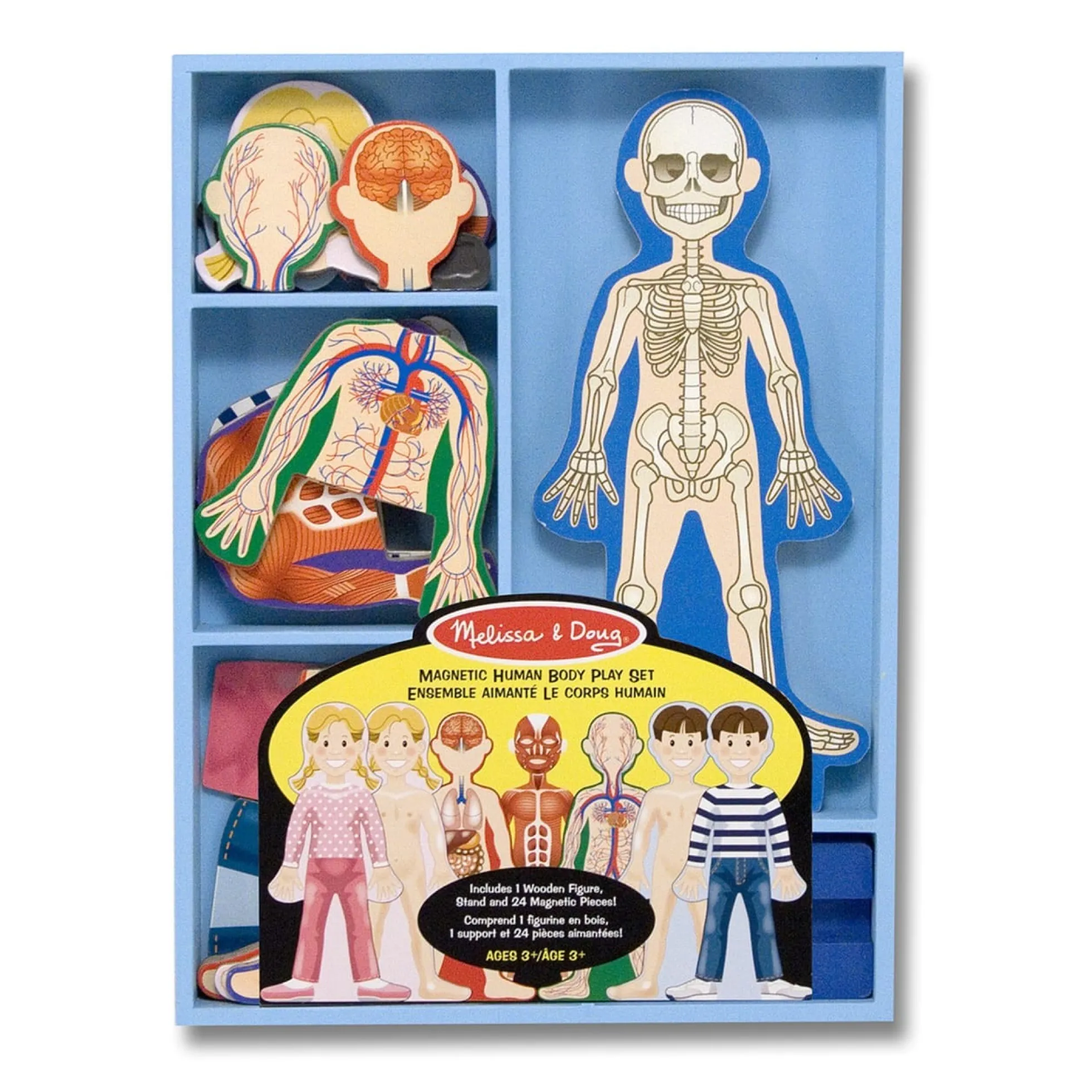 Magnetic Human Body Play Set