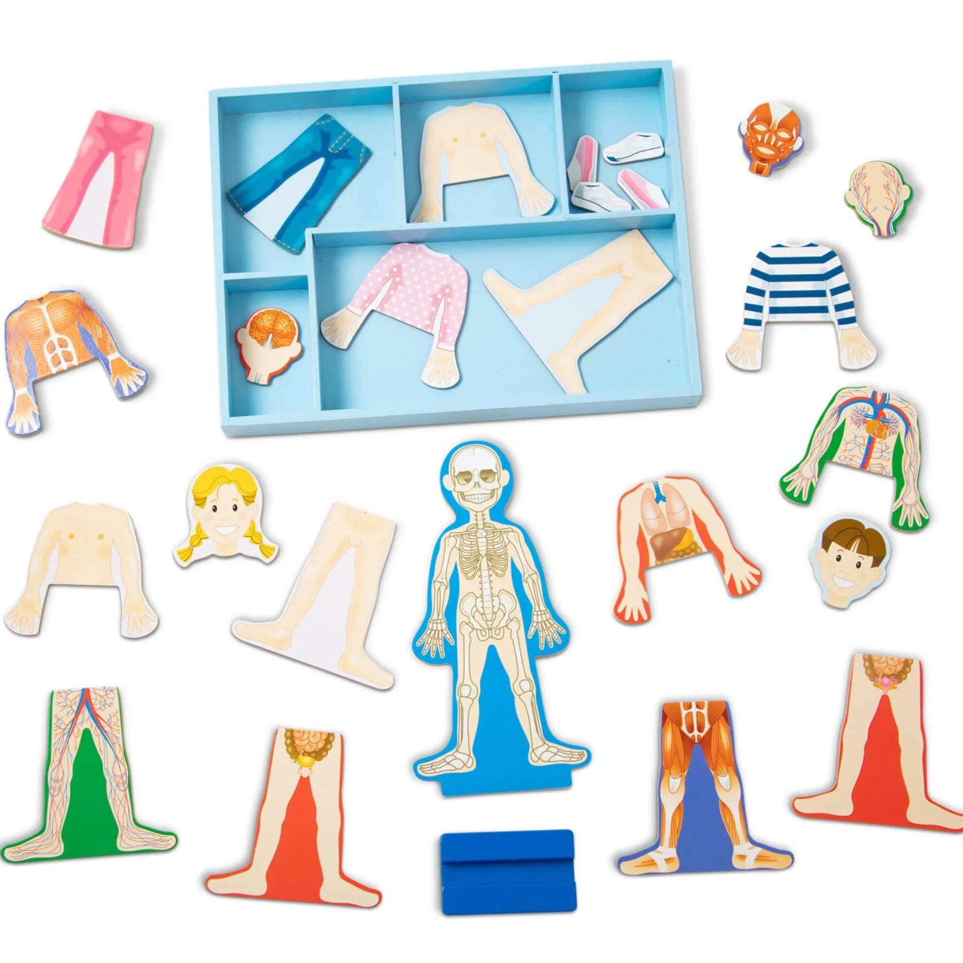 Magnetic Human Body Play Set