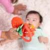 Peek-a-Boo Berry Take-Along Toy