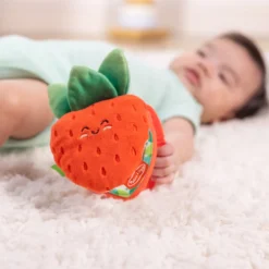 Peek-a-Boo Berry Take-Along Toy
