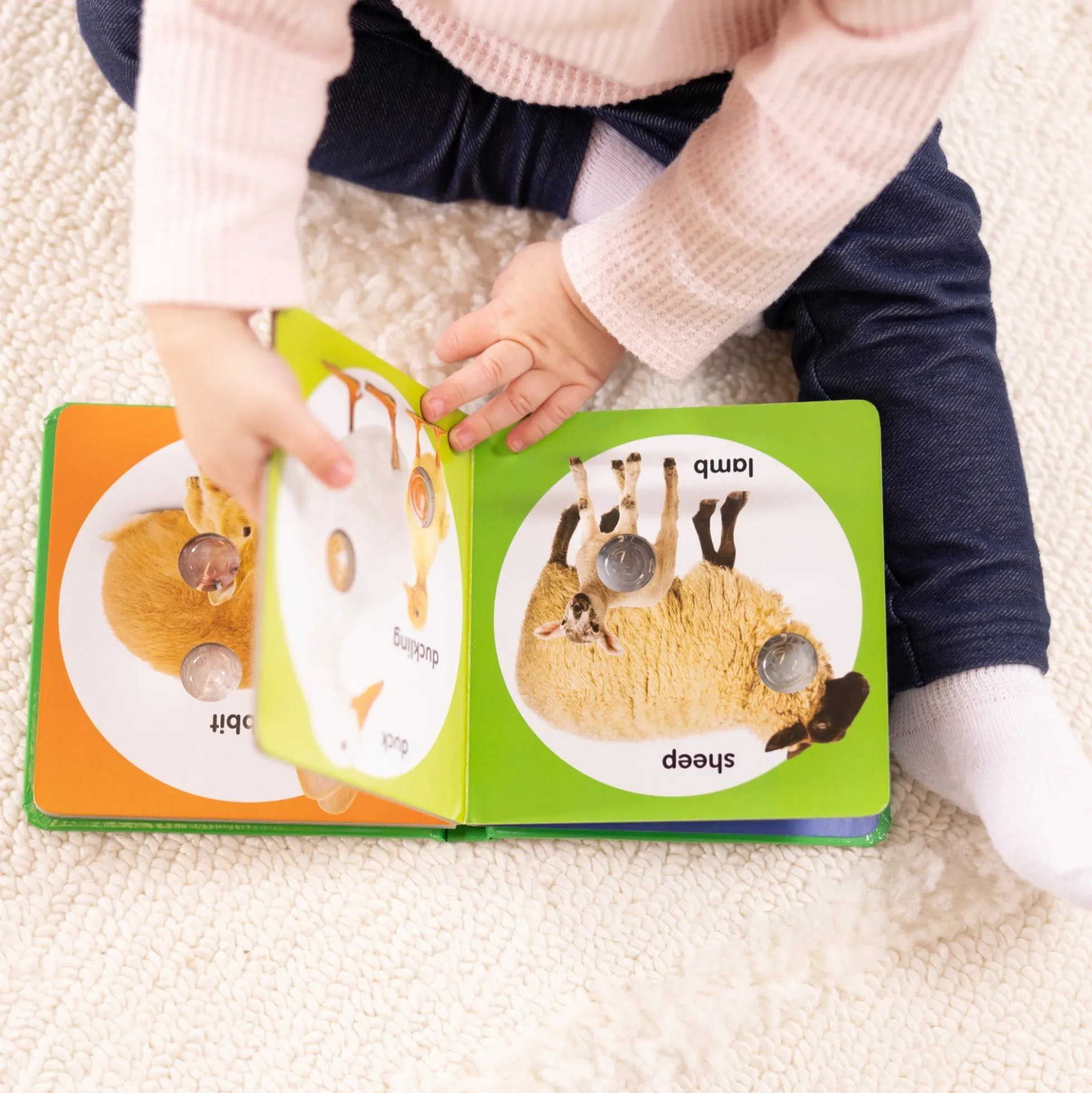 Poke-a-Dot: Farm Animal Families Board Book