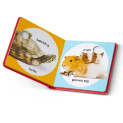 Poke-a-Dot: Pet Families Board Book