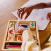 Wooden Stamp Set - Dinosaurs